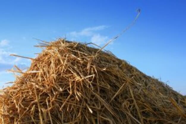 hay-bale-on-the-field_2855427[1]
